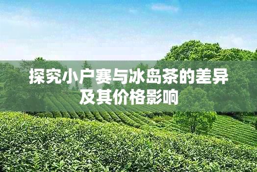 探究小户赛与冰岛茶的差异及其价格影响