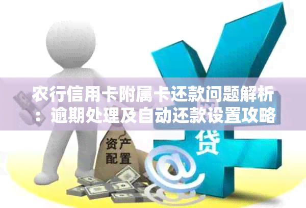 农行信用卡附属卡还款问题解析：逾期处理及自动还款设置攻略