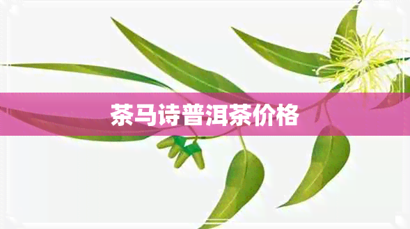 茶马诗普洱茶价格