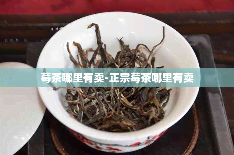 莓茶哪里有卖-正宗莓茶哪里有卖