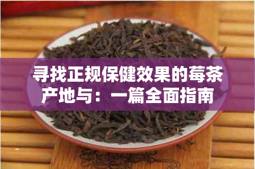 寻找正规保健效果的莓茶产地与：一篇全面指南