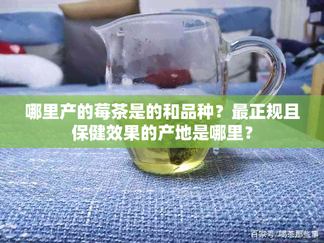 哪里产的莓茶是的和品种？最正规且保健效果的产地是哪里？