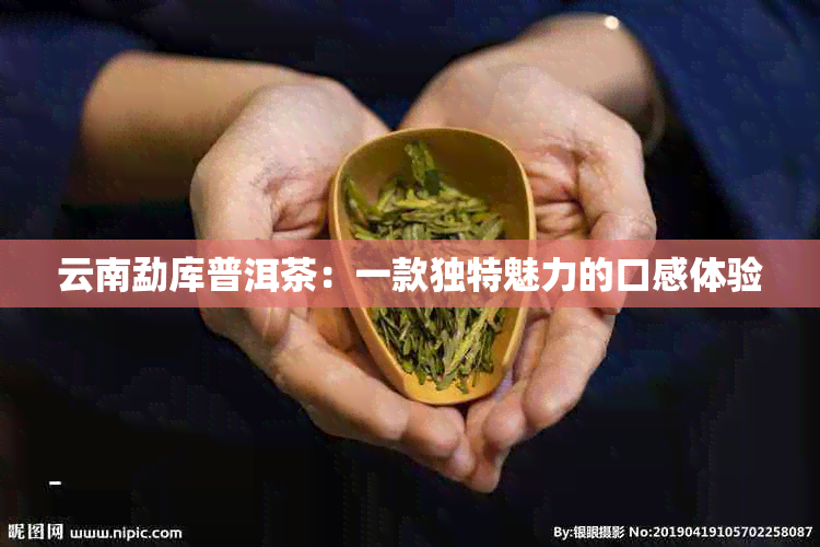 云南勐库普洱茶：一款独特魅力的口感体验