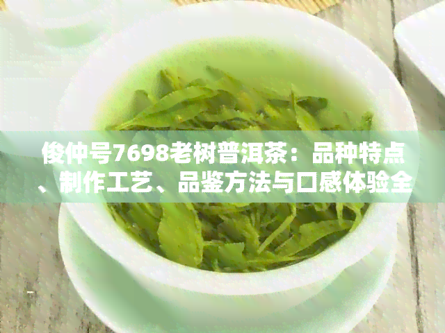 俊仲号7698老树普洱茶：品种特点、制作工艺、品鉴方法与口感体验全方位解析