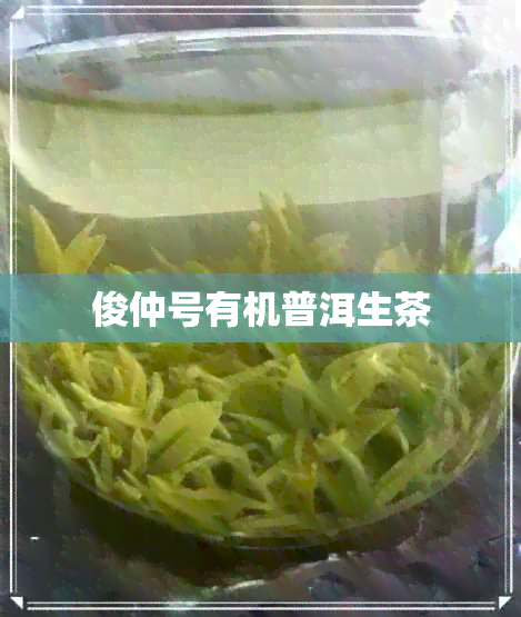 俊仲号有机普洱生茶