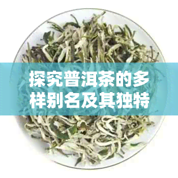 探究普洱茶的多样别名及其独特魅力