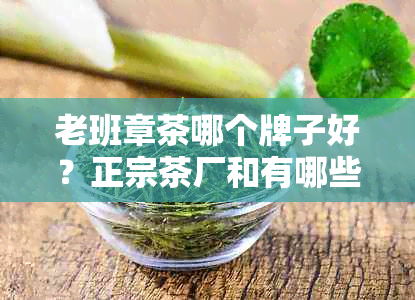 老班章茶哪个牌子好？正宗茶厂和有哪些？