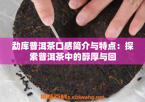 勐库普洱茶口感简介与特点：探索普洱茶中的醇厚与回