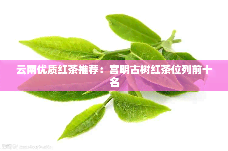 云南优质红茶推荐：宫明古树红茶位列前十名