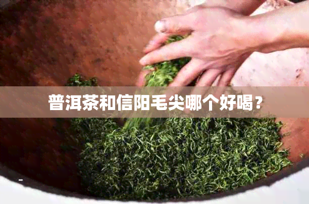 普洱茶和信阳毛尖哪个好喝？