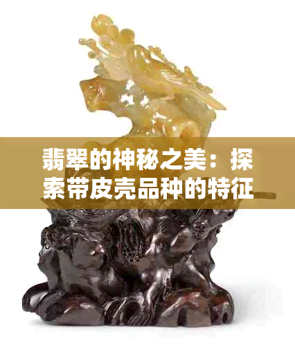 翡翠的神秘之美：探索带皮壳品种的特征与鉴别方法