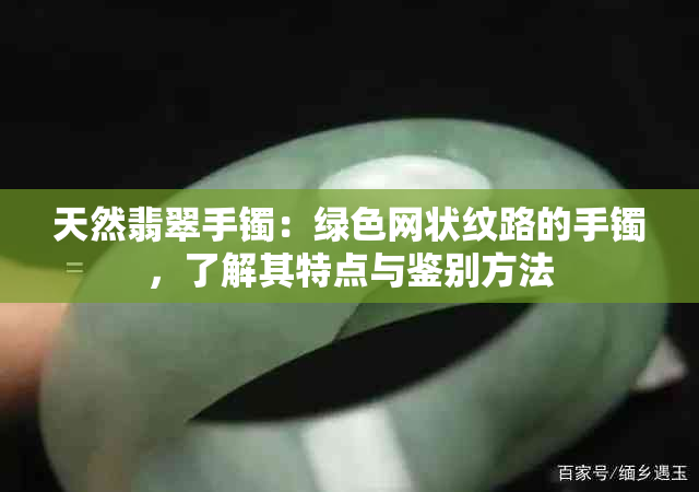 天然翡翠手镯：绿色网状纹路的手镯，了解其特点与鉴别方法