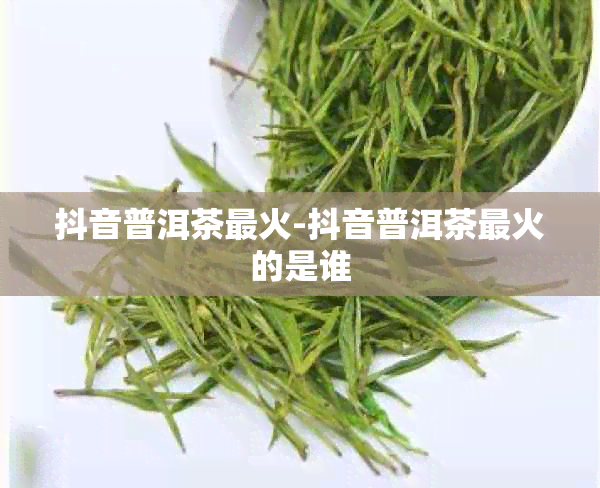 抖音普洱茶最火-抖音普洱茶最火的是谁