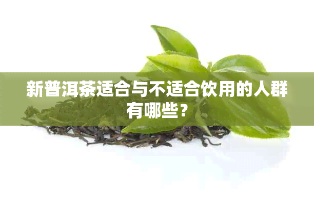 新普洱茶适合与不适合饮用的人群有哪些？