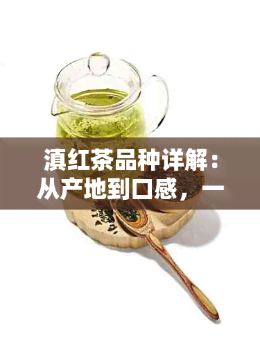 滇红茶品种详解：从产地到口感，一篇全面了解滇红茶的文章