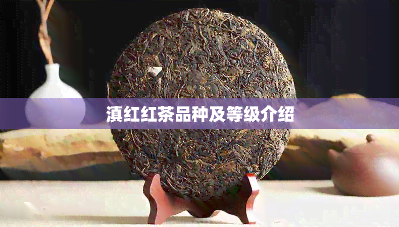 滇红红茶品种及等级介绍