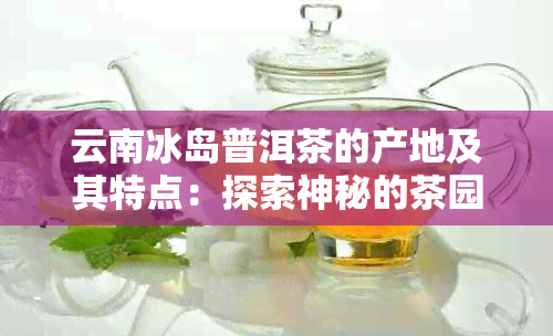 云南冰岛普洱茶的产地及其特点：探索神秘的茶园与品质奥秘