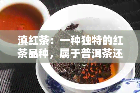 滇红茶：一种独特的红茶品种，属于普洱茶还是生茶？与普洱熟茶有什么区别？