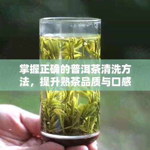 掌握正确的普洱茶清洗方法，提升熟茶品质与口感