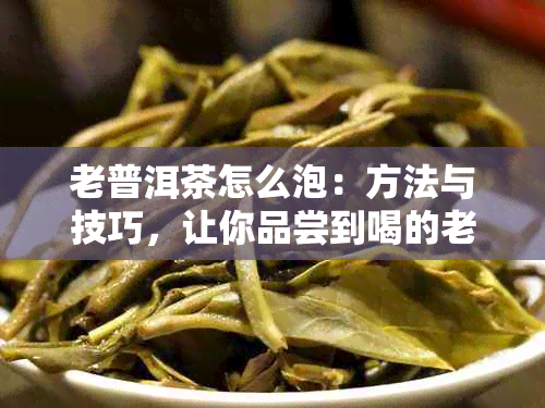 老普洱茶怎么泡：方法与技巧，让你品尝到喝的老普洱熟茶