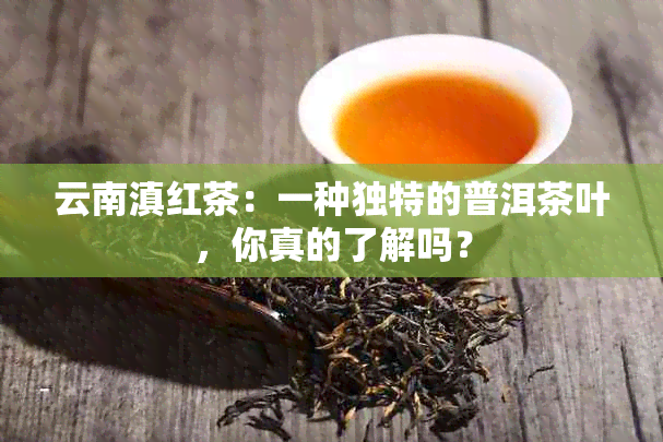 云南滇红茶：一种独特的普洱茶叶，你真的了解吗？