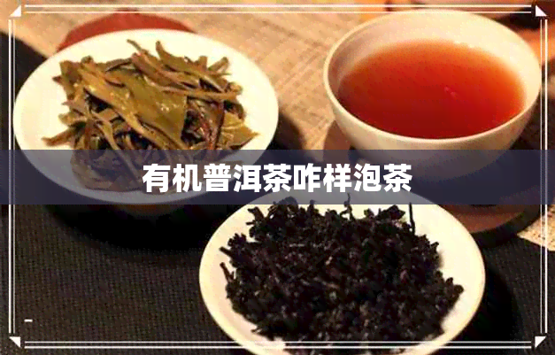 有机普洱茶咋样泡茶