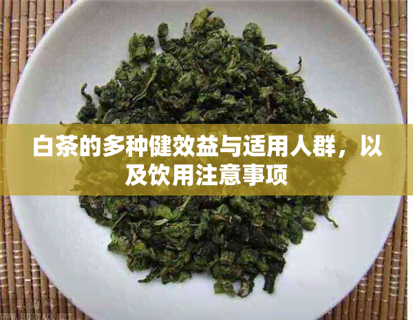 白茶的多种健效益与适用人群，以及饮用注意事项