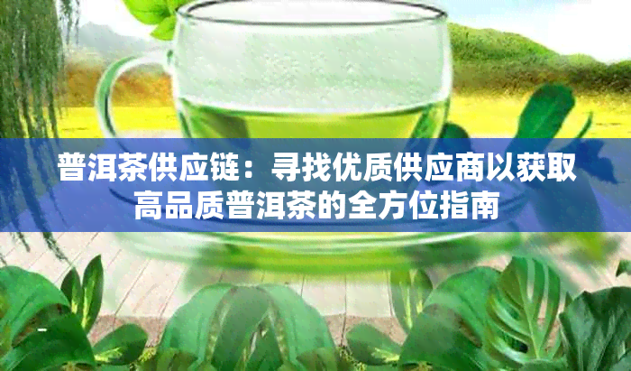 普洱茶供应链：寻找优质供应商以获取高品质普洱茶的全方位指南