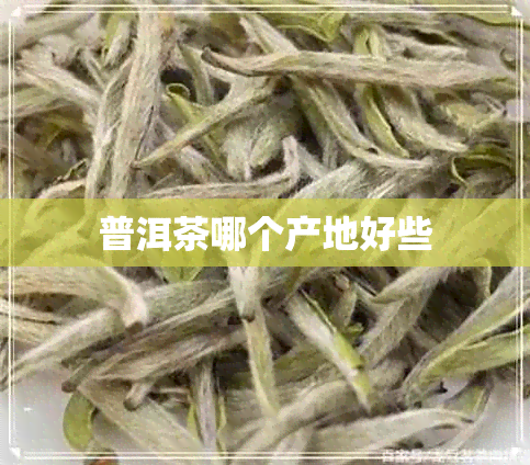 普洱茶哪个产地好些