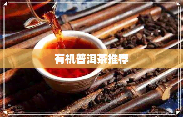 有机普洱茶推荐