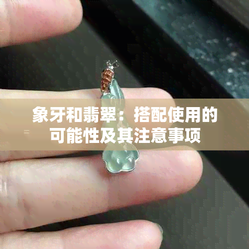 象牙和翡翠：搭配使用的可能性及其注意事项