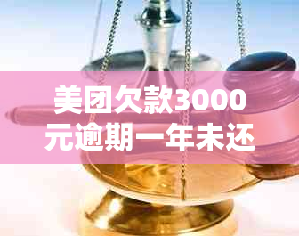 美团欠款3000元逾期一年未还款，将面临何种处理和后果？