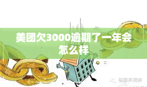 美团欠3000逾期了一年会怎么样