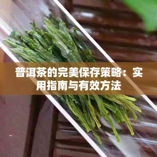 普洱茶的完美保存策略：实用指南与有效方法