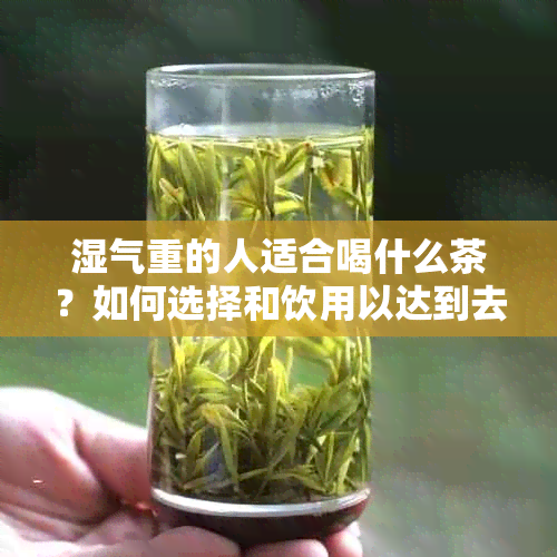 湿气重的人适合喝什么茶？如何选择和饮用以达到去湿效果？