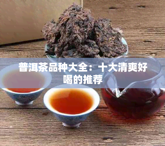 普洱茶品种大全：十大清爽好喝的推荐