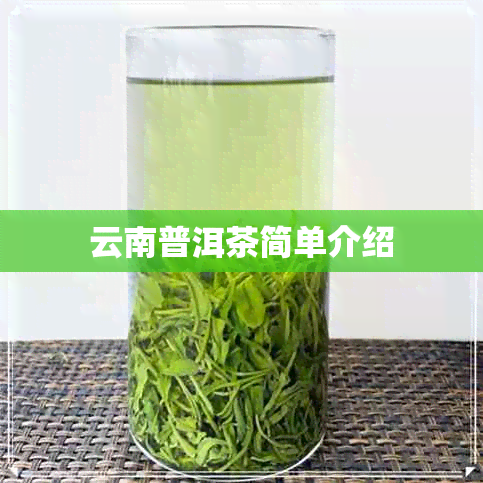 云南普洱茶简单介绍