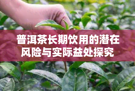 普洱茶长期饮用的潜在风险与实际益处探究