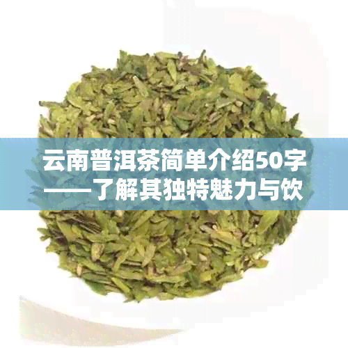 云南普洱茶简单介绍50字——了解其独特魅力与饮用方法