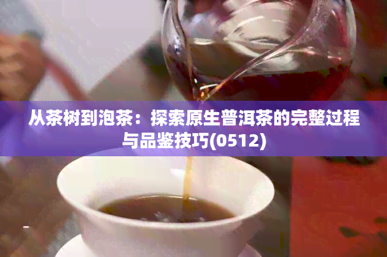 从茶树到泡茶：探索原生普洱茶的完整过程与品鉴技巧(0512)