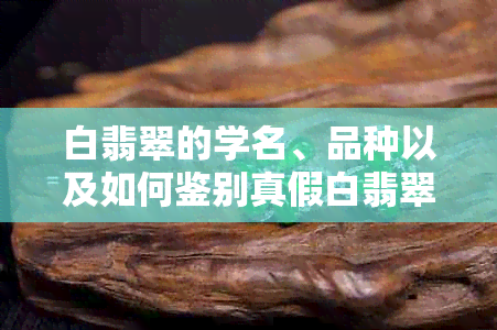 白翡翠的学名、品种以及如何鉴别真假白翡翠——全面解析白翡翠相关知识