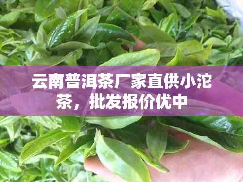 云南普洱茶厂家直供小沱茶，批发报价优中