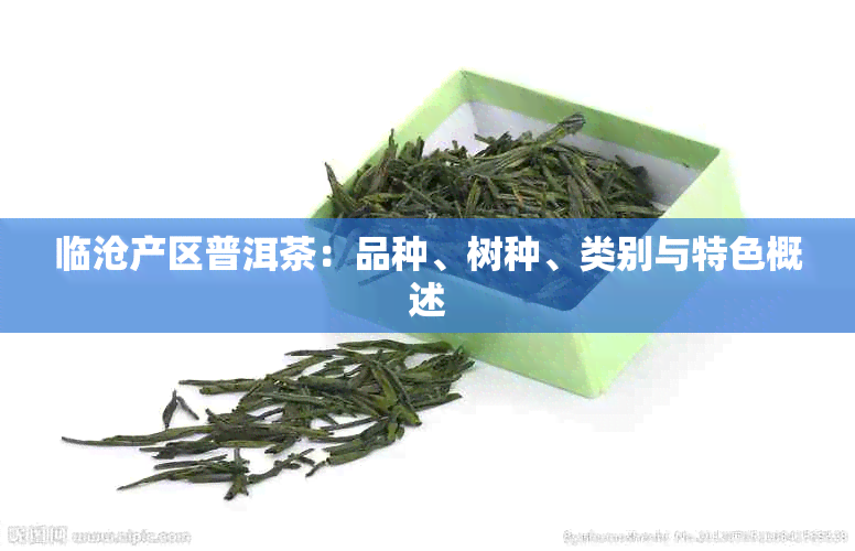 临沧产区普洱茶：品种、树种、类别与特色概述