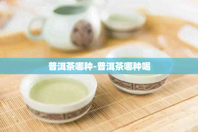 普洱茶哪种-普洱茶哪种喝