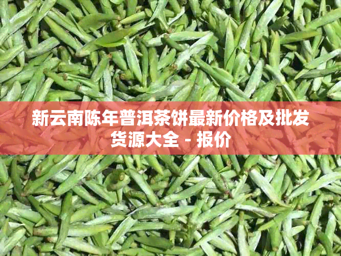 新云南陈年普洱茶饼最新价格及批发货源大全 - 报价