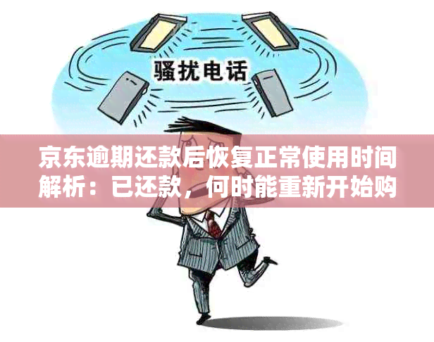 京东逾期还款后恢复正常使用时间解析：已还款，何时能重新开始购物？