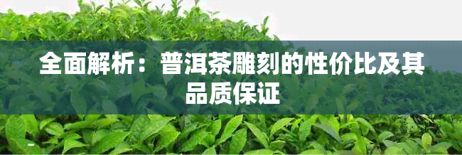 全面解析：普洱茶雕刻的性价比及其品质保证