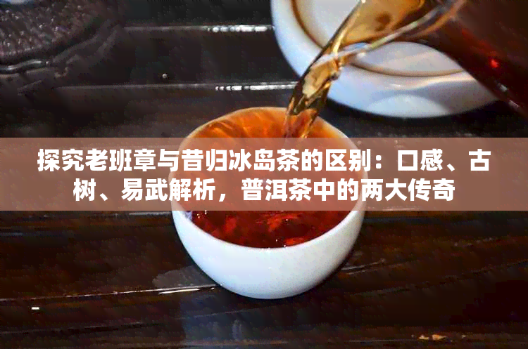 探究老班章与昔归冰岛茶的区别：口感、古树、易武解析，普洱茶中的两大传奇