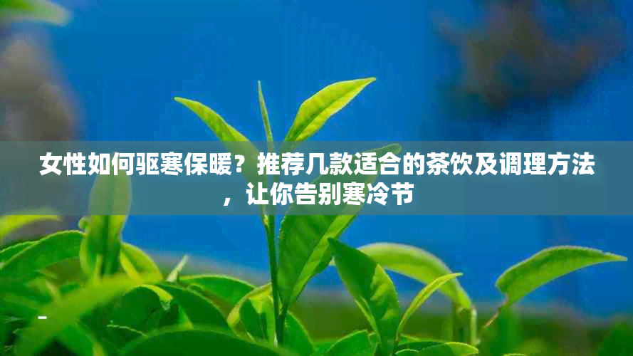 女性如何驱寒保暖？推荐几款适合的茶饮及调理方法，让你告别寒冷节