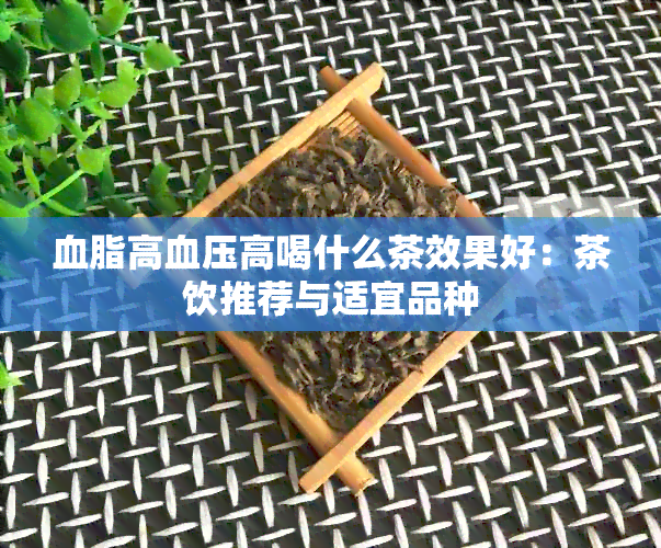 血脂高血压高喝什么茶效果好：茶饮推荐与适宜品种